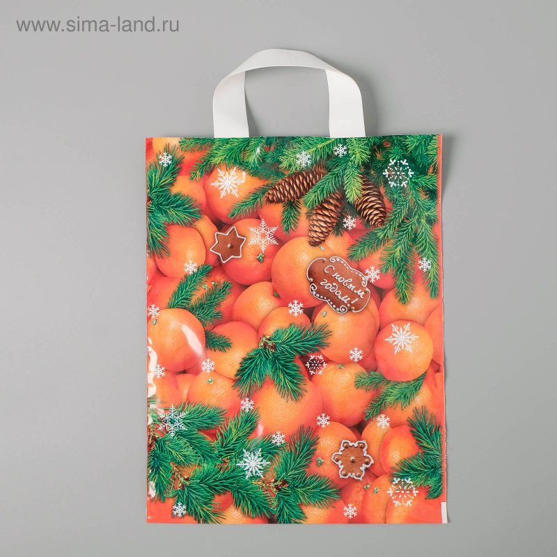 Пакет "Новогодний десерт" полиэтиленовый с петлевой ручкой 28х35см 55мкм 3779427
