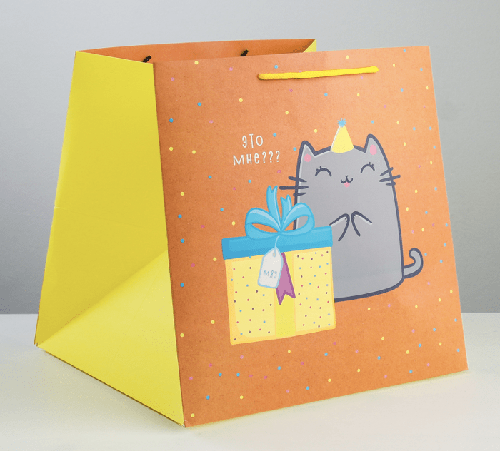 Пакет квадратный «Котик и тортик», 30 × 30 × 30 см   3912524