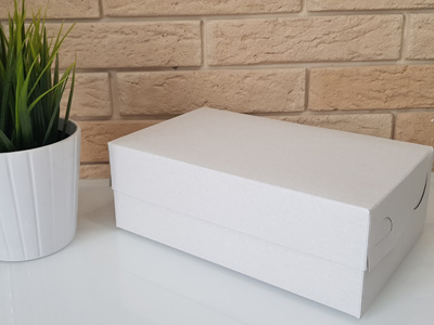 Упаковка пирожное эконом 240*150*84 мм без окна