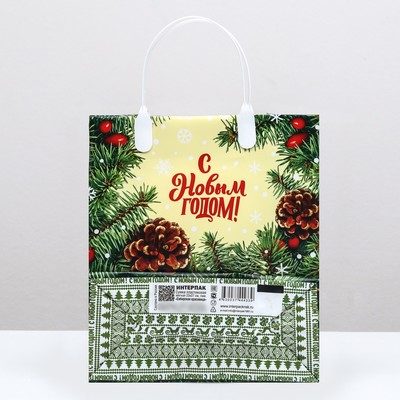 Пакет "Сибирская красавица" мягкий пластик 22,5х25,5см 150мкм 9824542