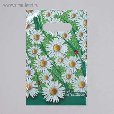 Пакет «Лето», полиэтиленовый с вырубной ручкой,30 мкм, 20×30 см 3093910