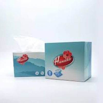 Салфетки бумажные HANAKO 250шт 12x18см 2сл КУБ *40