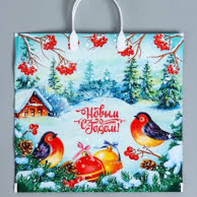 Пакет с пластиковой ручкой 37*34см Птичья Трель НГ