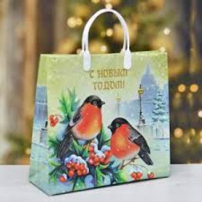 Пакет подарочный из мягкого пластика "Пернатые друзья" 30*30*10см НГ