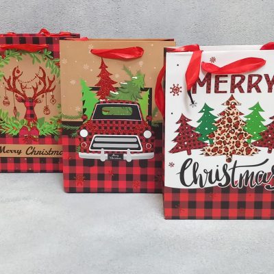 Пакет ламинированный 24*18*8см Красная клетка НГ SCW712-ABCD